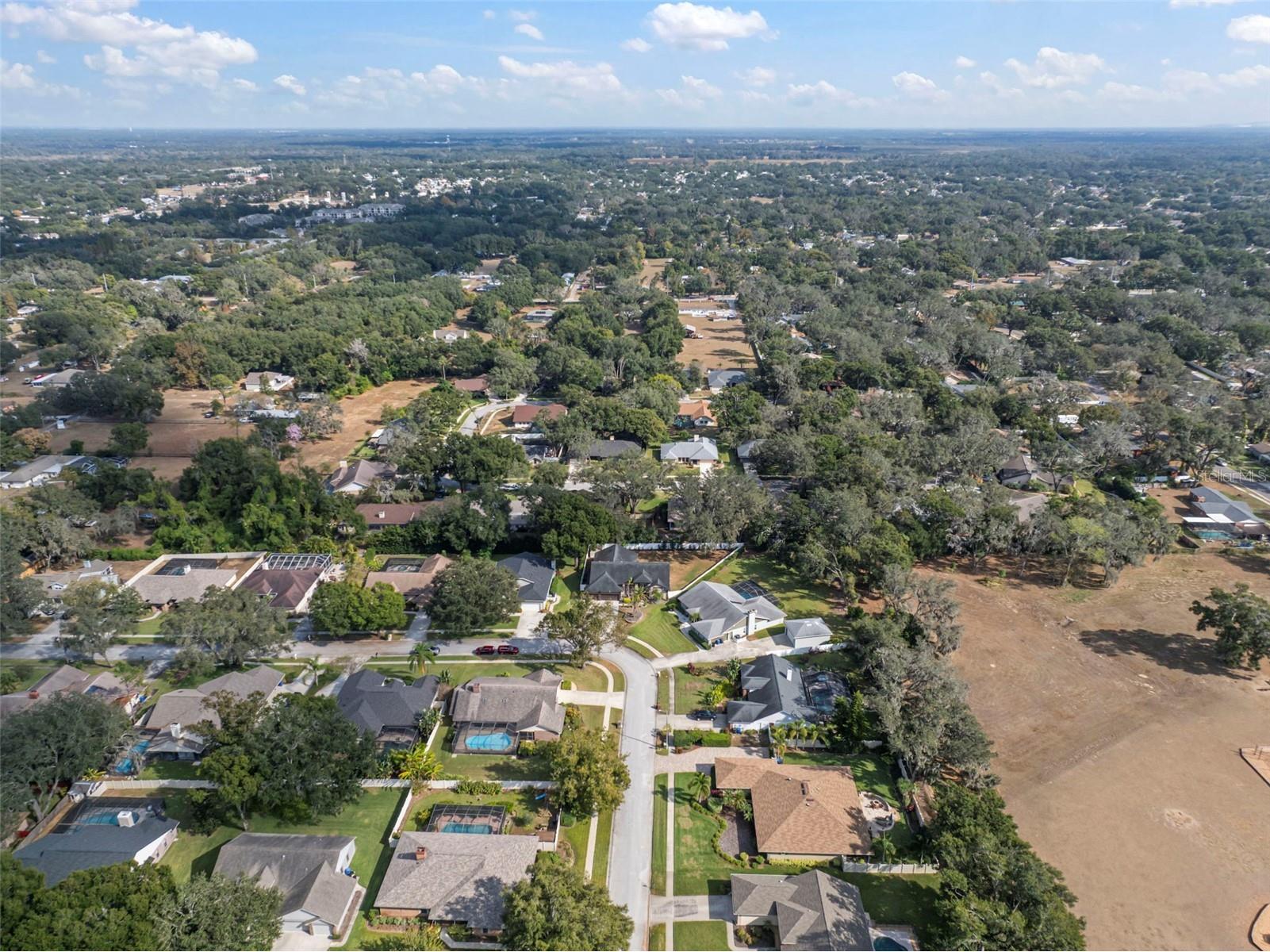 424 Summit Chase Drive Valrico FL 33594 TB8448937 image67