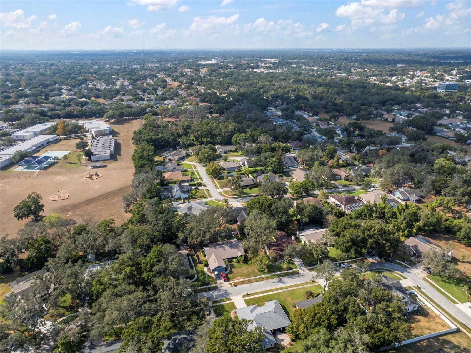 424 Summit Chase Drive Valrico FL 33594 TB8448937 image71
