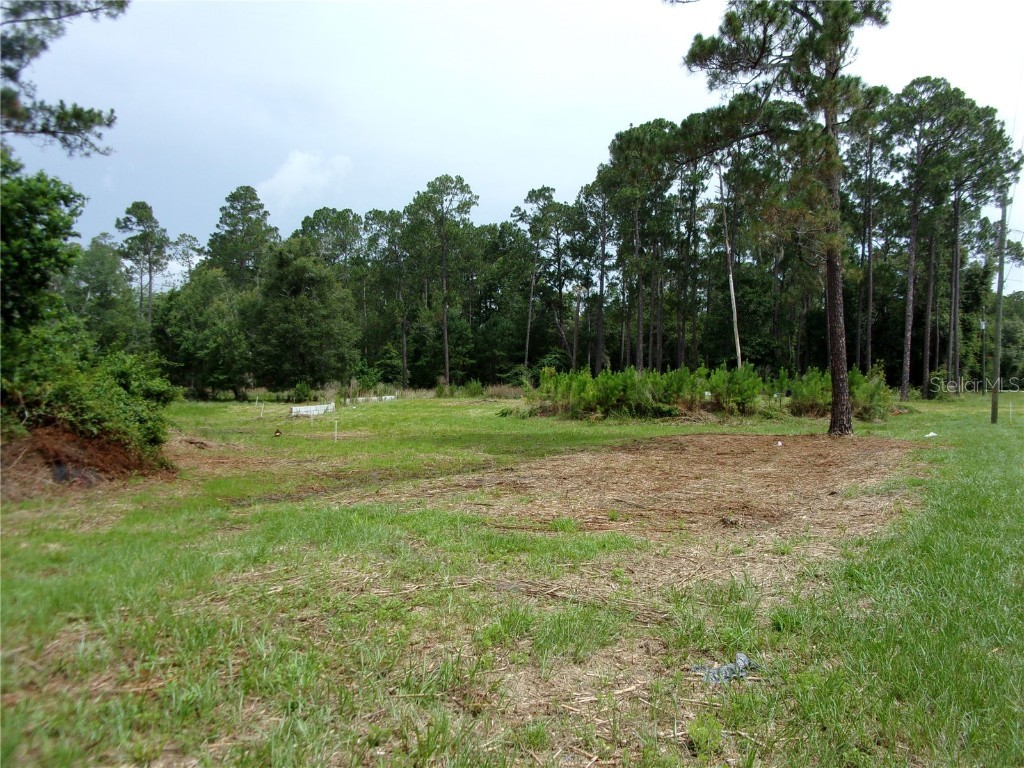 424 W Lakeshore Drive Starke FL 32091 - LAKE CROSBY CHAIN OF LAKES OM656747 image1