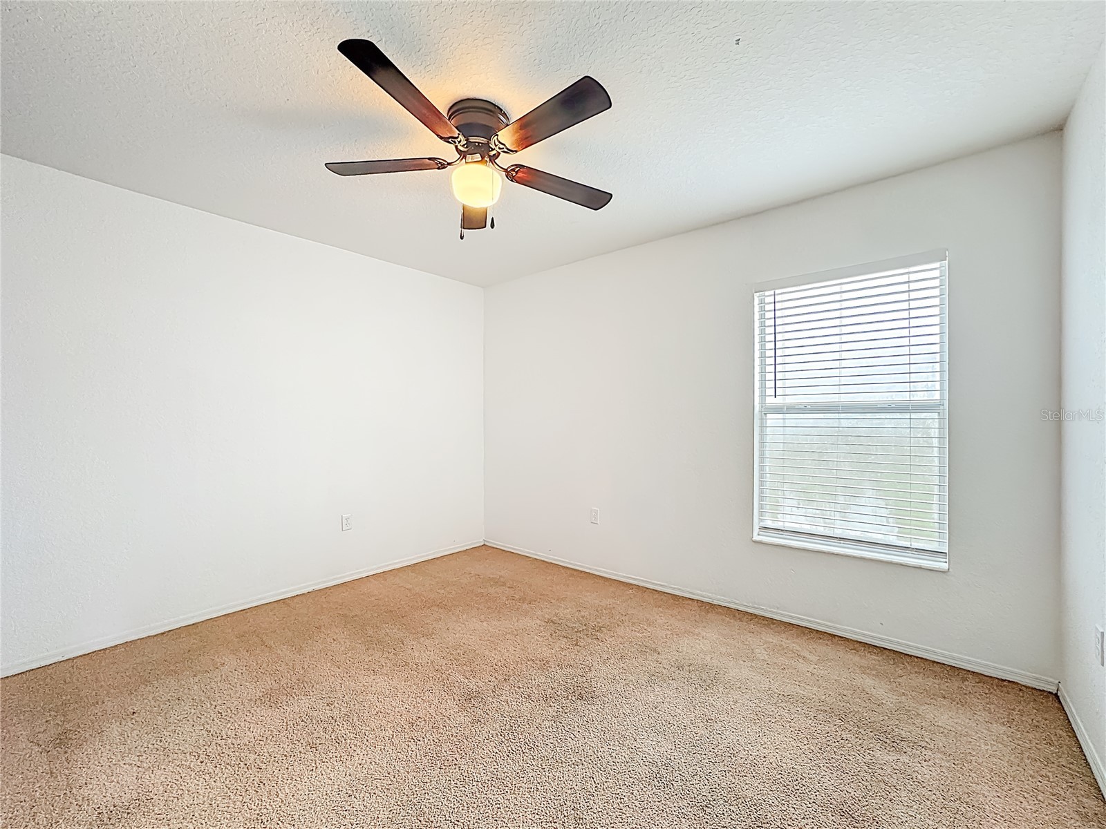 4240 Dinner Lake Street Lake Wales FL 33859 P4935283 image49