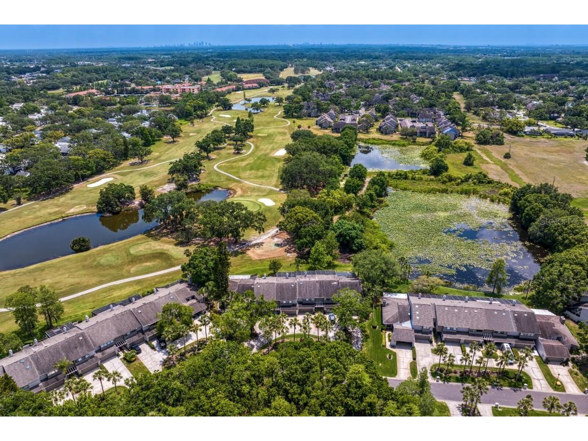 4240 Golf Club Lane Tampa FL 33618 TB8377056 image1