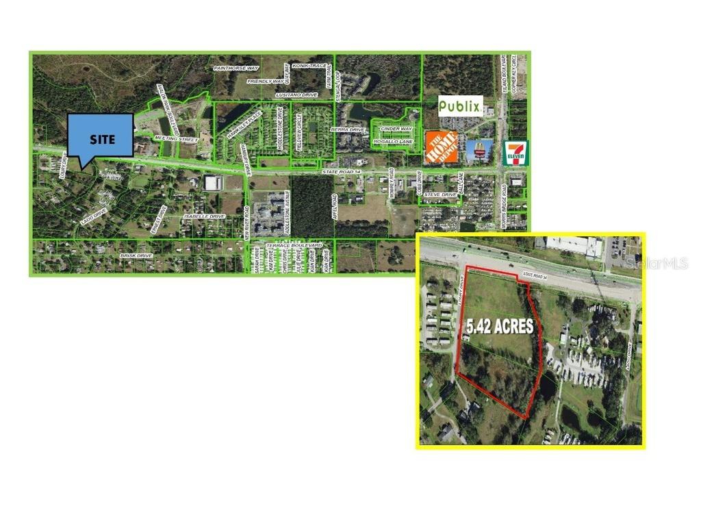 4240 Loury Drive Wesley Chapel FL 33543 T3542412 image1