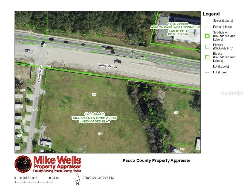 4240 Loury Drive Wesley Chapel FL 33543 T3542412 image3