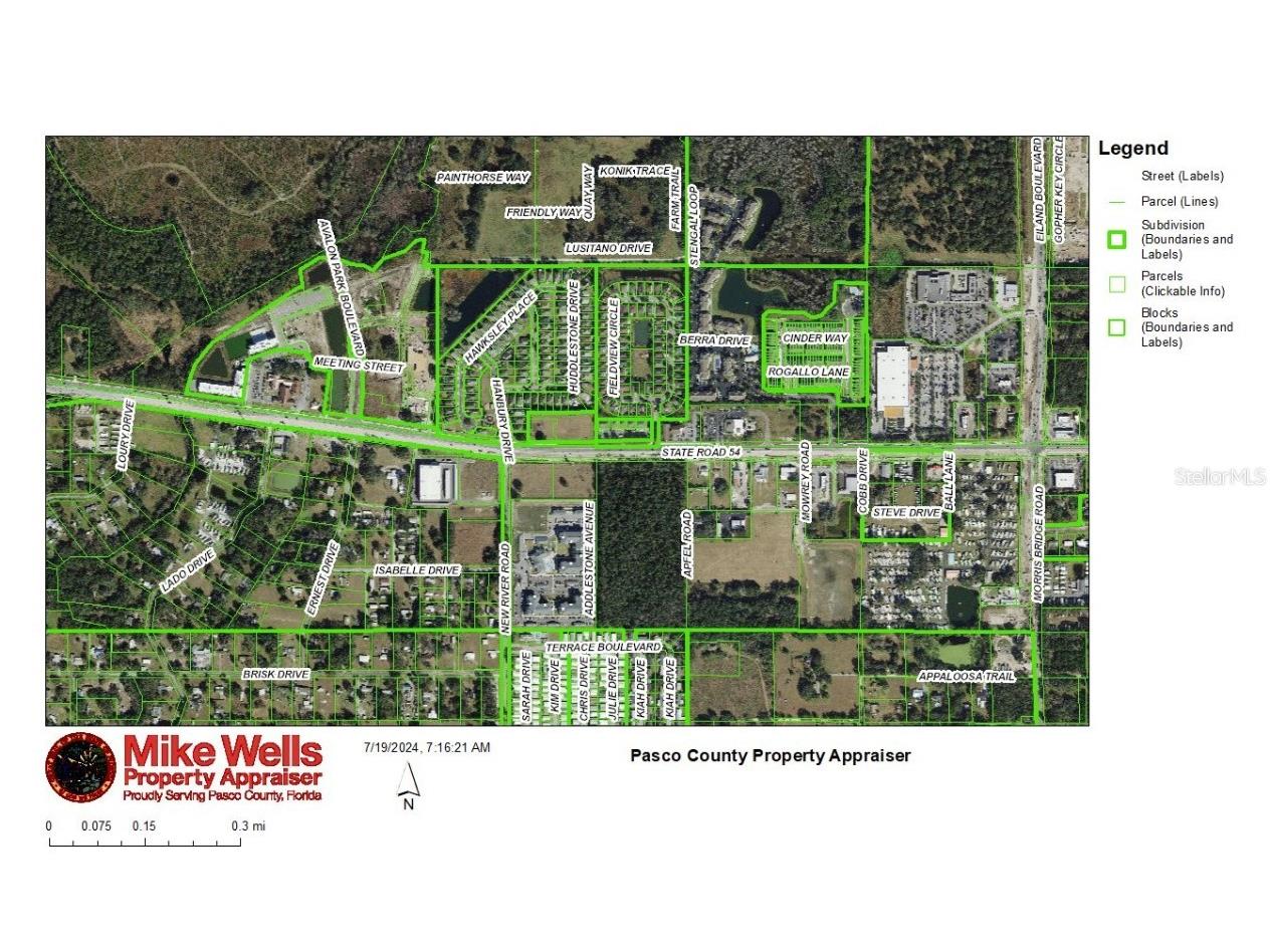 4240 Loury Drive Wesley Chapel FL 33543 T3542412 image4