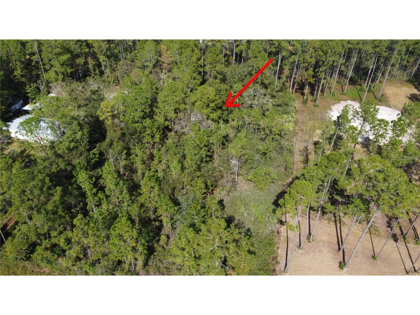 4240 Melanie Street Hastings FL 32145 FC313943 image2