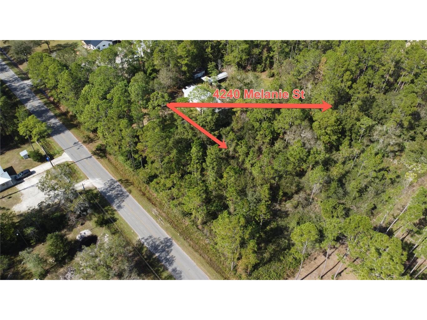 4240 Melanie Street Hastings FL 32145 FC313943 image5