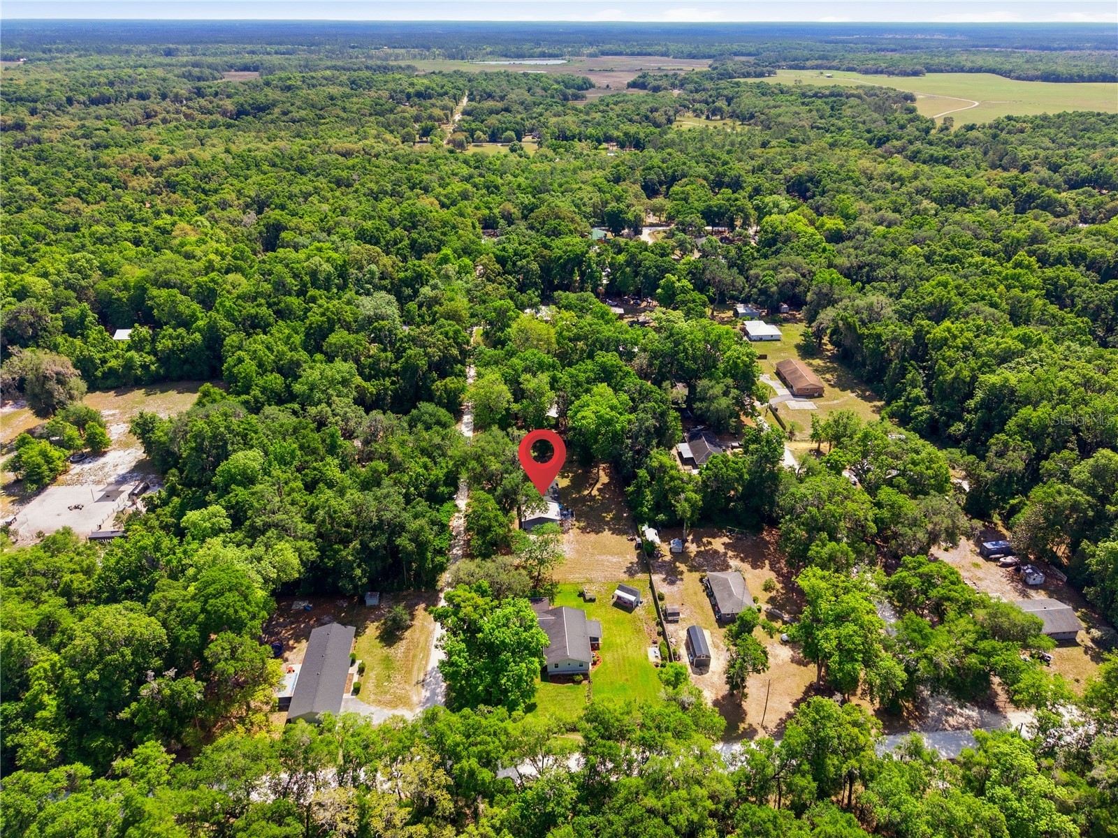 4240 NE 132nd Place Anthony FL 32617 OM723063 image32
