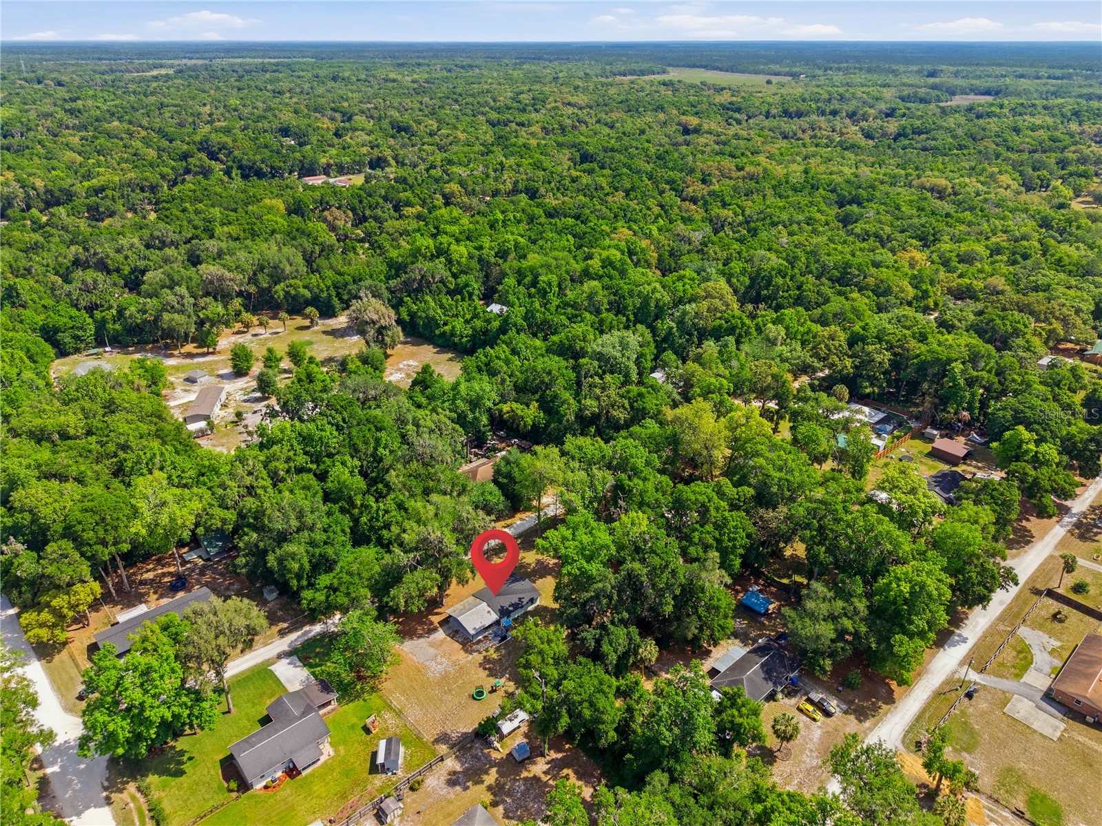 4240 NE 132nd Place Anthony FL 32617 OM723063 image33