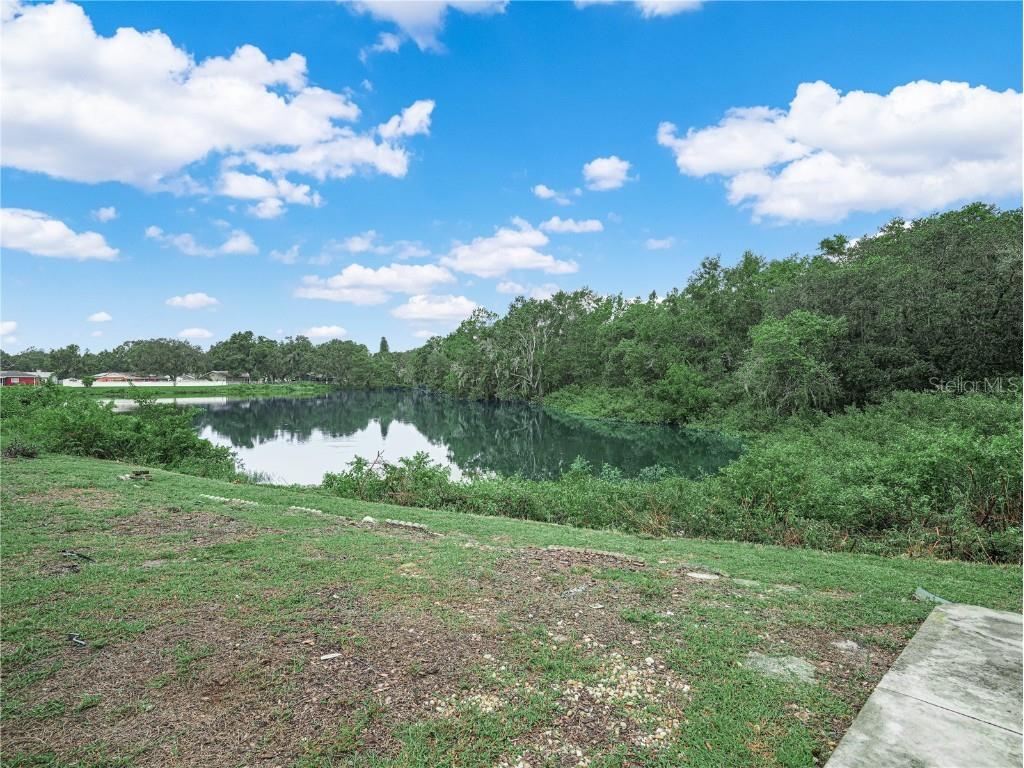 4240 Old Colony Road Mulberry FL 33860 P4936208 image28