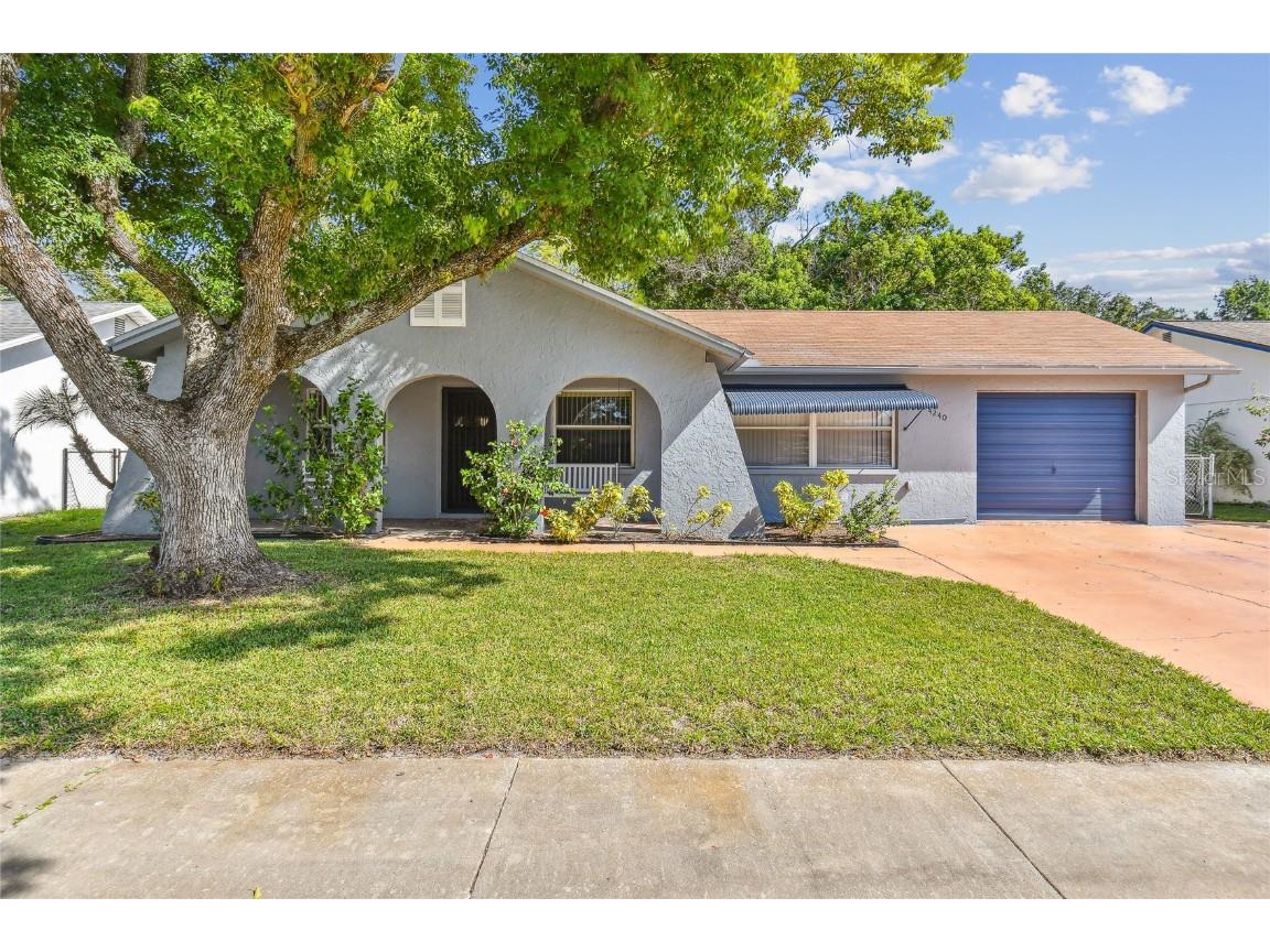 4240 Raccoon Loop New Port Richey FL 34653 T3467547 image1