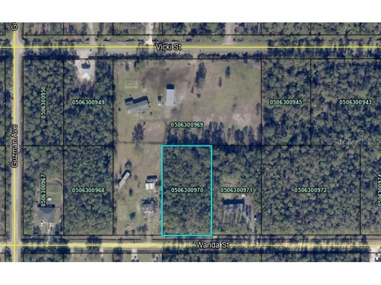 4240 Wanda Street Hastings FL 32145 FC305496 image1