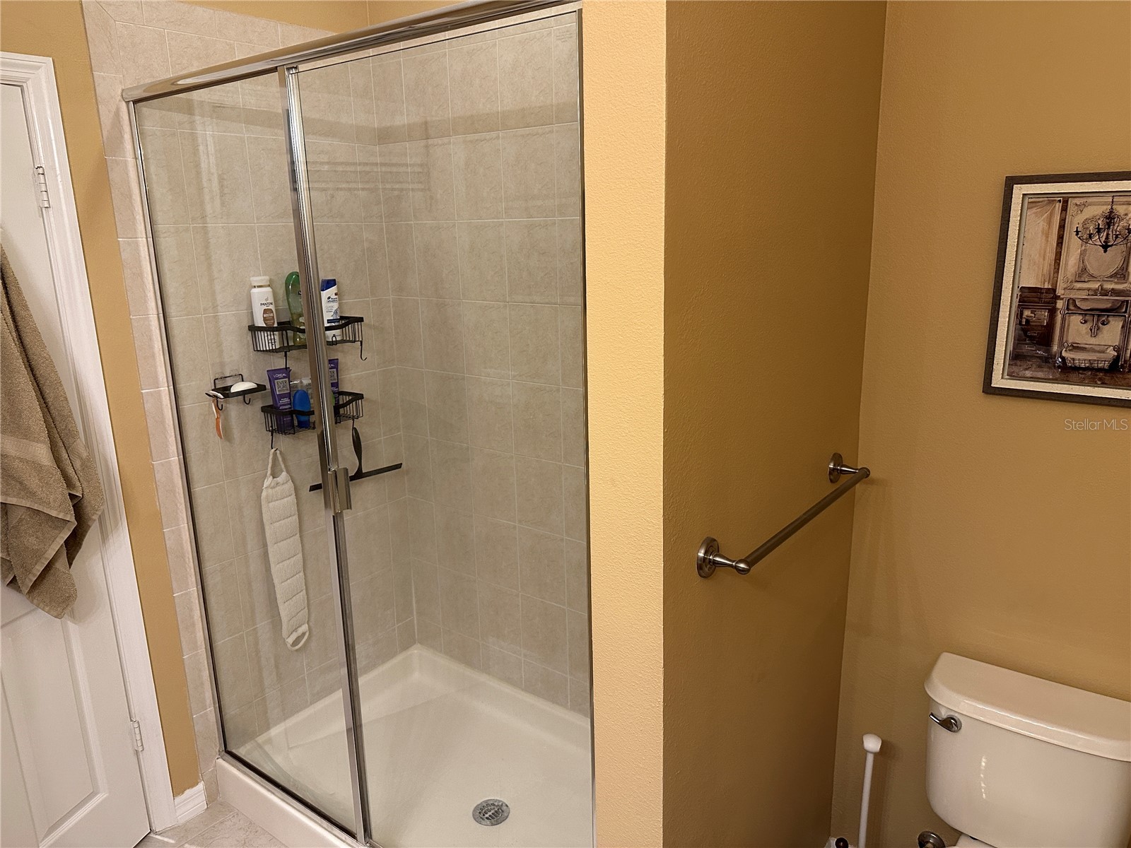 4241 Overture Circle #447 Bradenton FL 34209 A4682607 image19