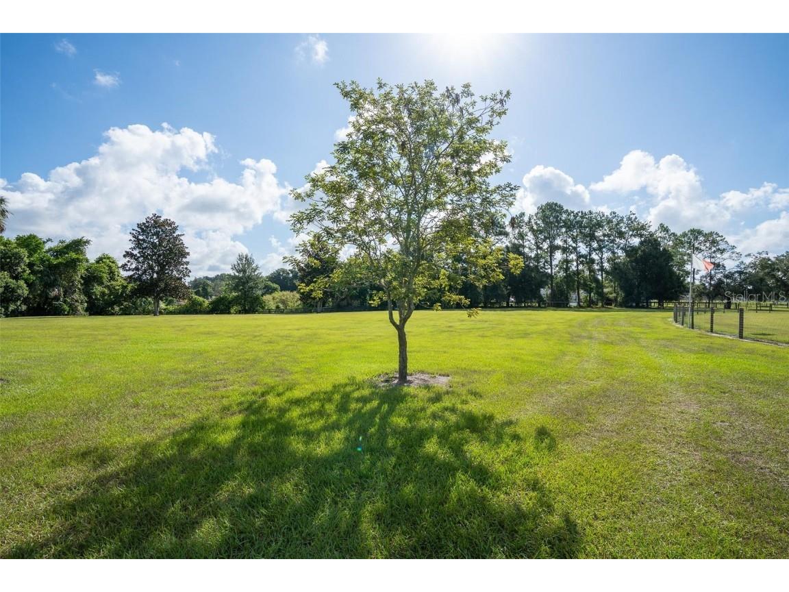 42415 Big Oak Road Altoona FL 32702 V4944466 image23