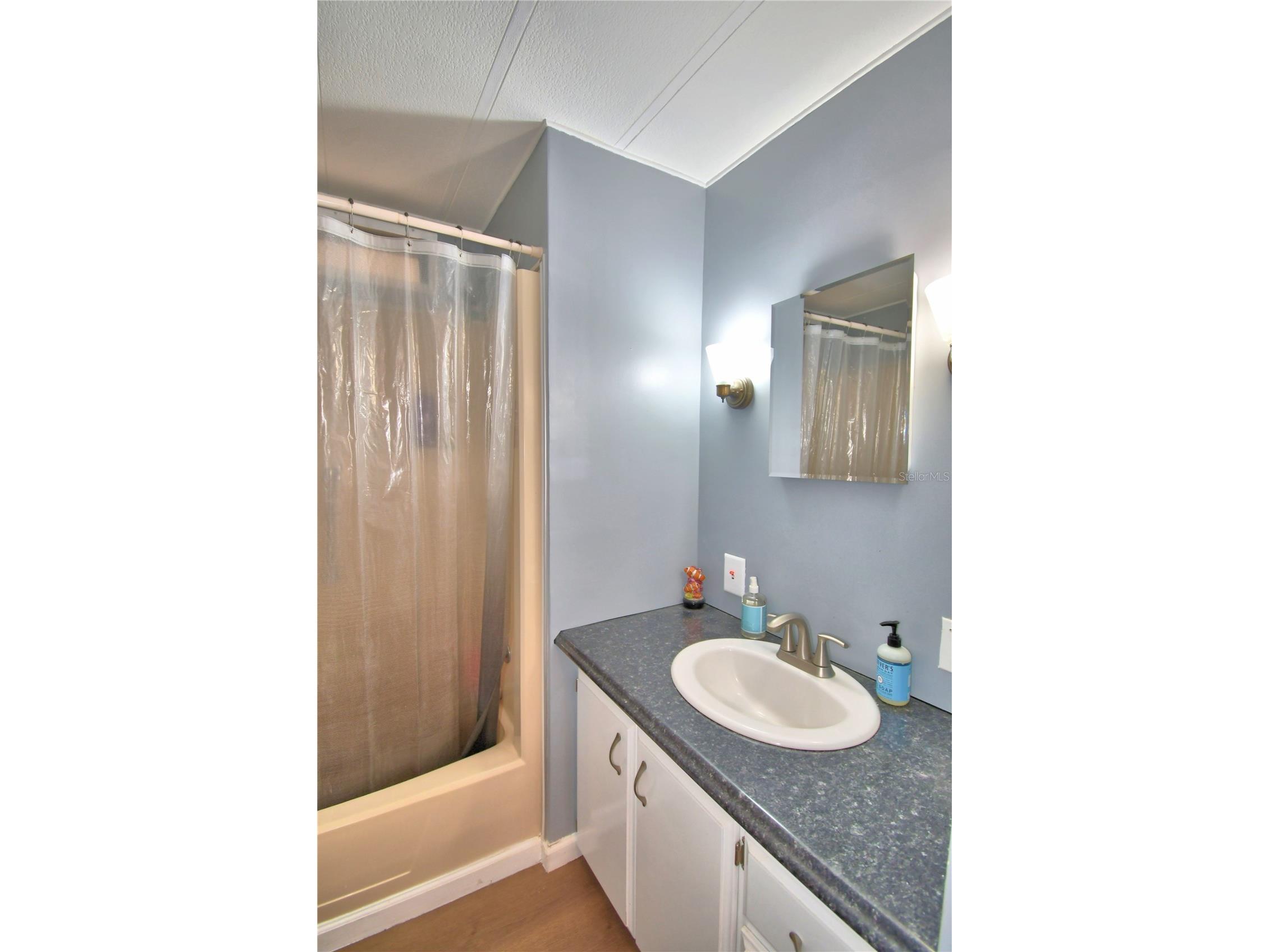 4242 Cedarwood Street Winter Haven FL 33880 - Dinner Lake P4939139 image23