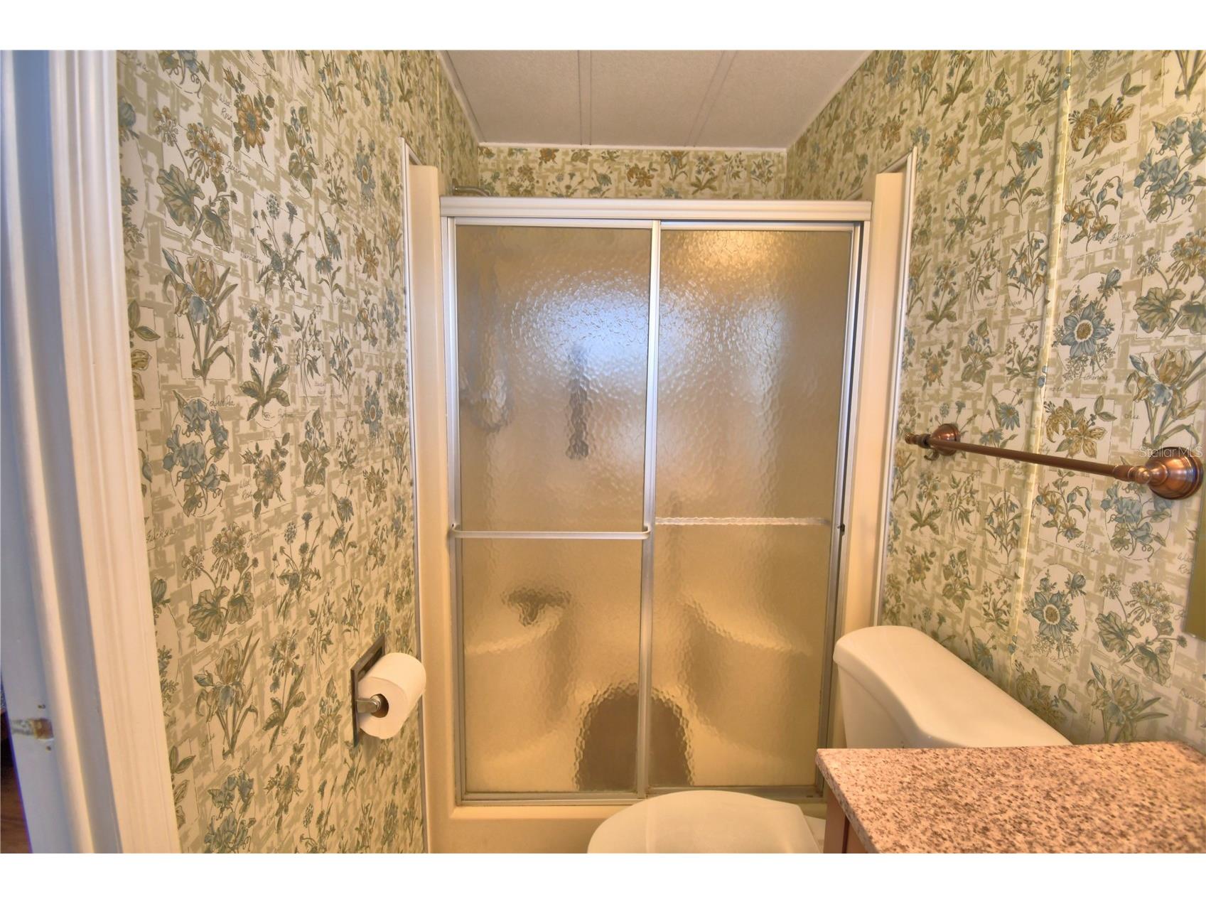 4242 Cedarwood Street Winter Haven FL 33880 - Dinner Lake P4939139 image30