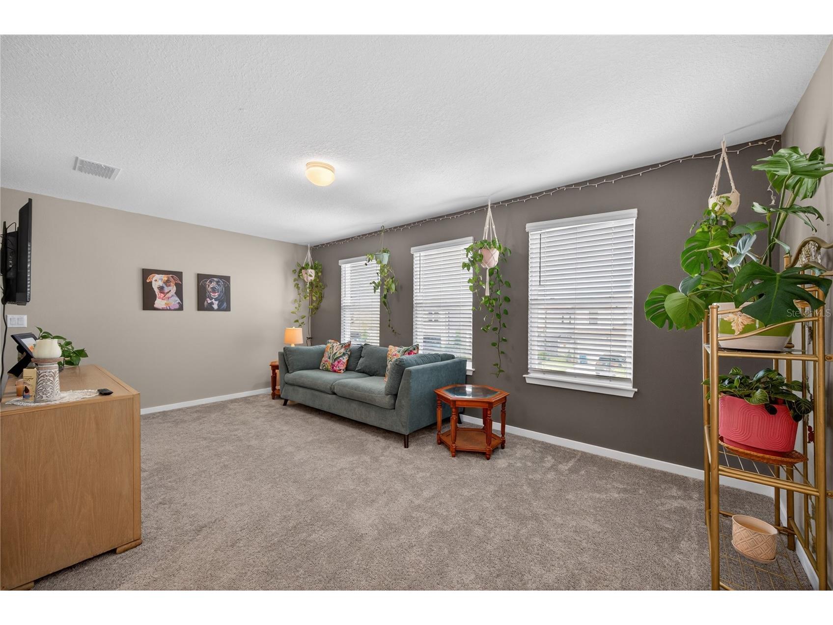 4242 Goldfoil Road Spring Hill FL 34609 TB8503411 image33