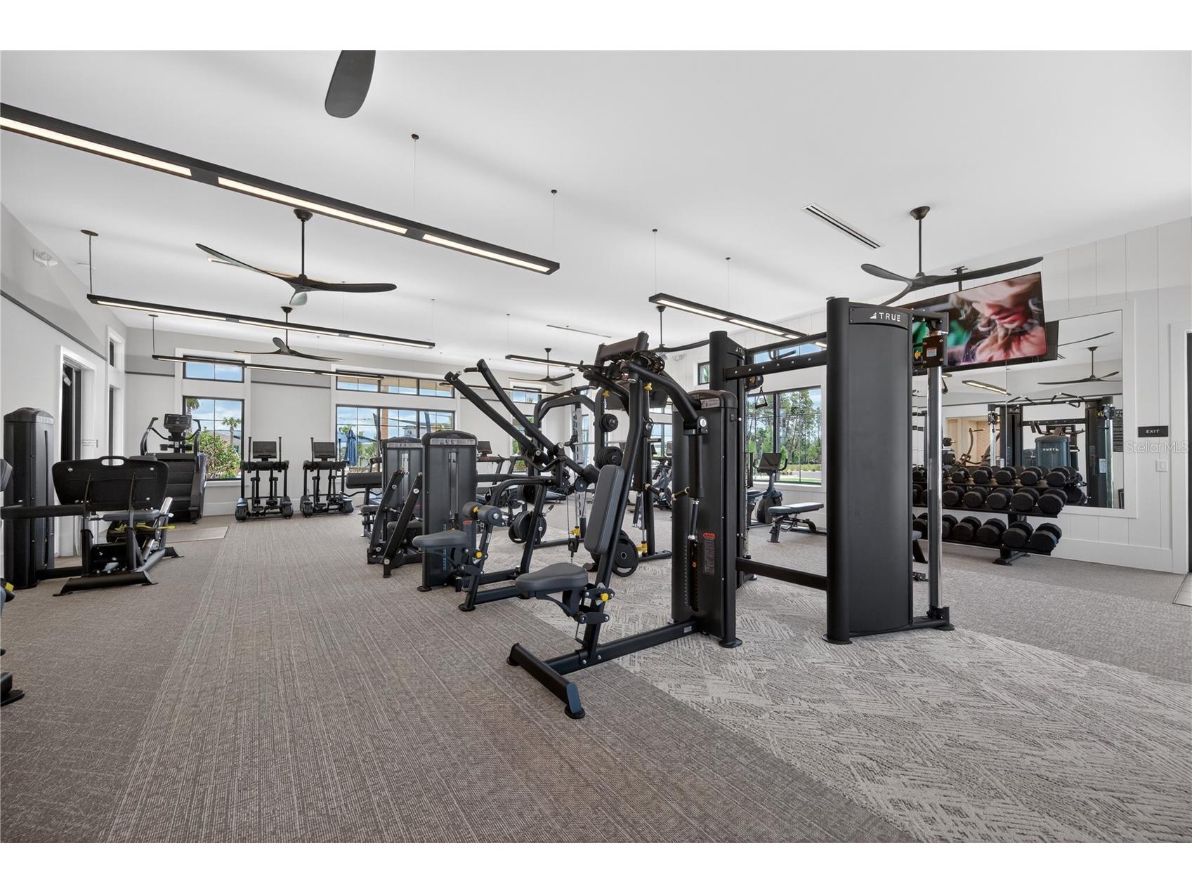 4242 Goldfoil Road Spring Hill FL 34609 TB8503411 image66