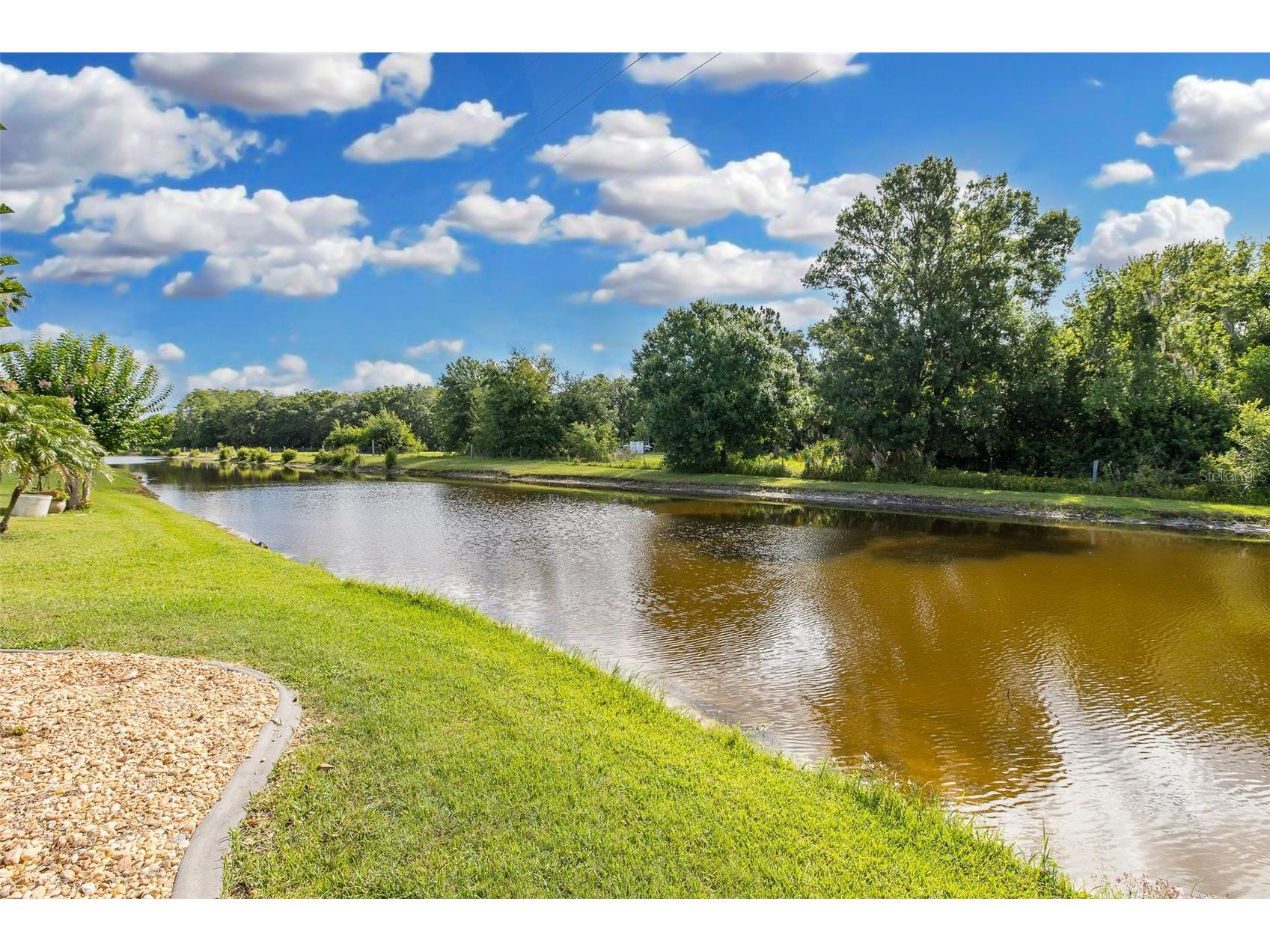 4242 Northampton Drive New Port Richey FL 34653 W7887787 image42