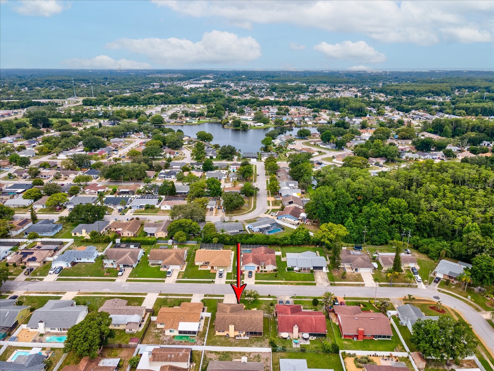 4242 Riverwood Drive New Port Richey FL 34653 W7884567 image42