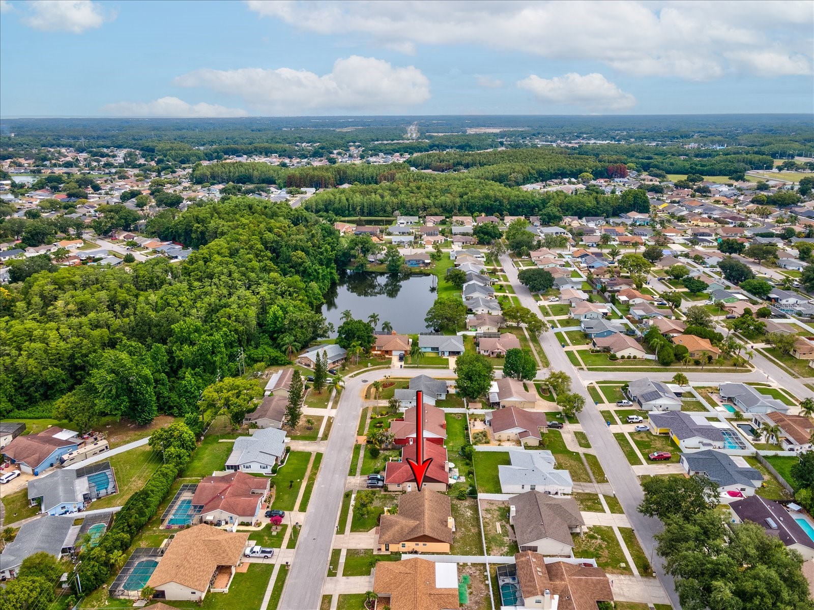 4242 Riverwood Drive New Port Richey FL 34653 W7884567 image43