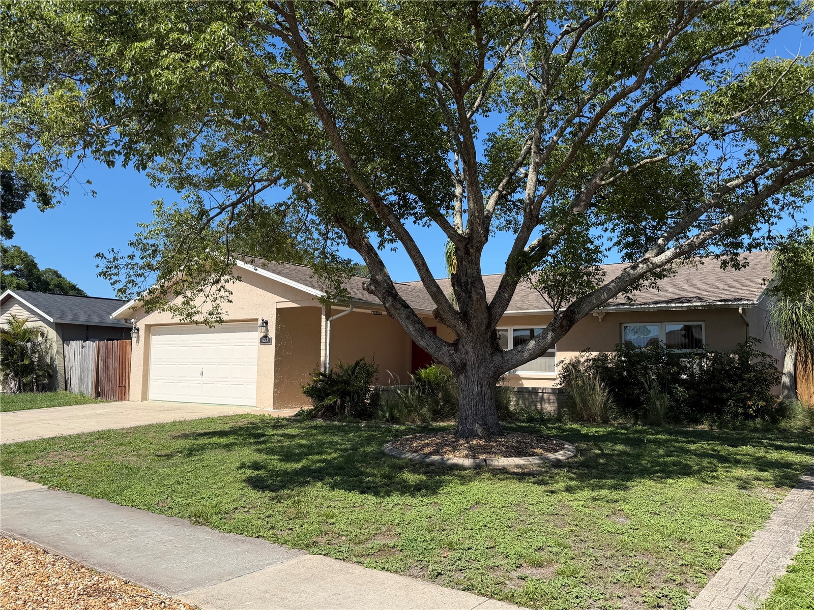 4243 Chipmunk Drive New Port Richey FL 34653 W7886489 image1