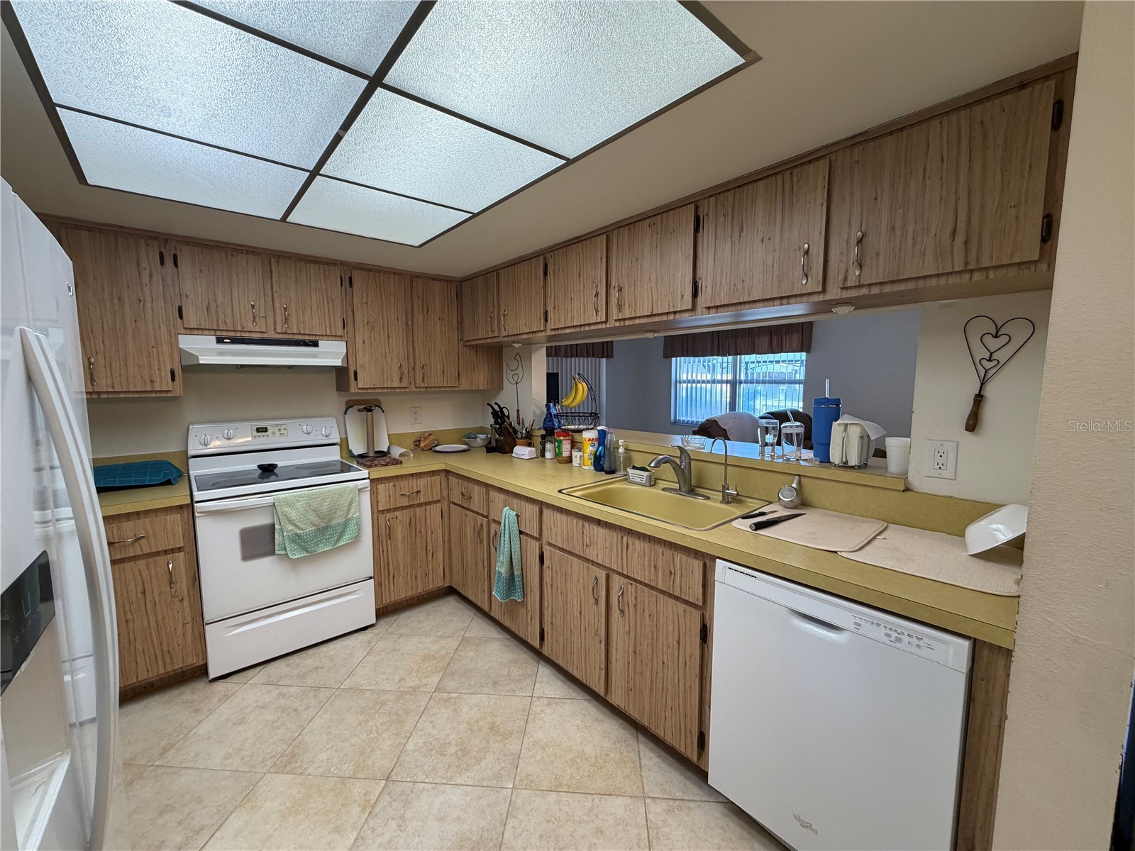 4243 Chipmunk Drive New Port Richey FL 34653 W7886489 image4