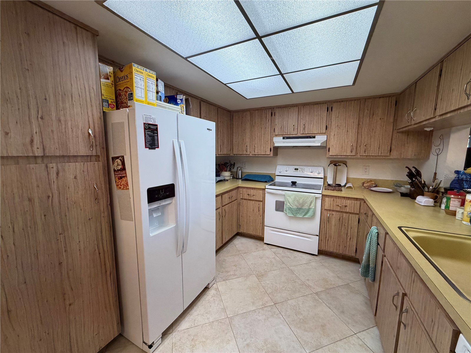 4243 Chipmunk Drive New Port Richey FL 34653 W7886489 image5