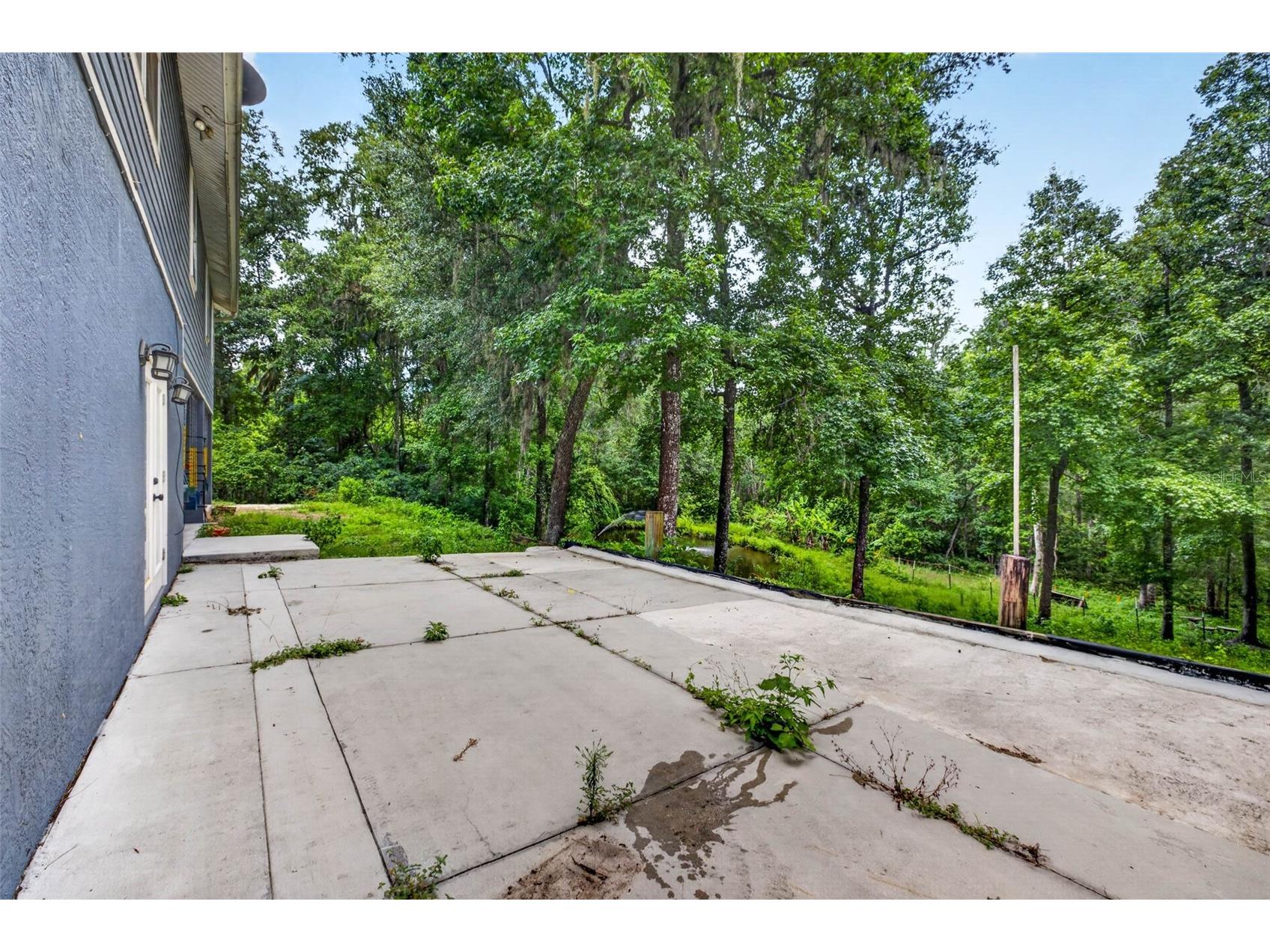 4243 Nancy Creek Boulevard Brooksville FL 34602 TB8521837 image66