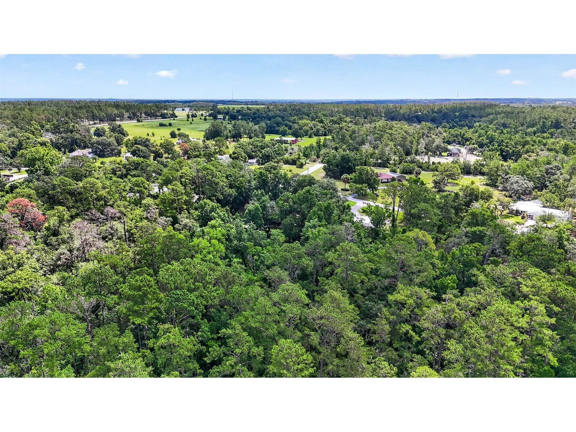 4243 Nancy Creek Boulevard Brooksville FL 34602 TB8521837 image72
