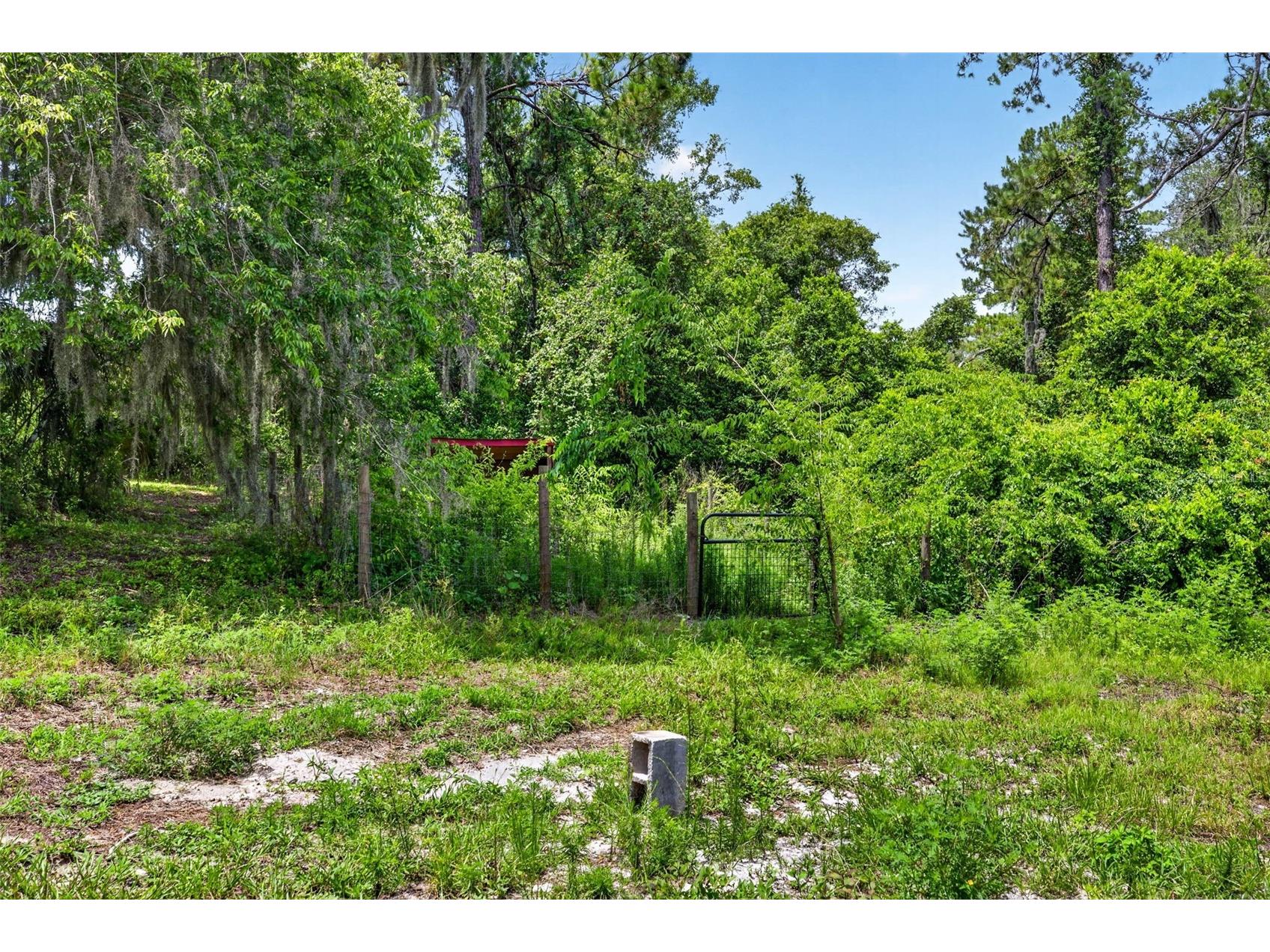 4243 Nancy Creek Boulevard Brooksville FL 34602 TB8521837 image89