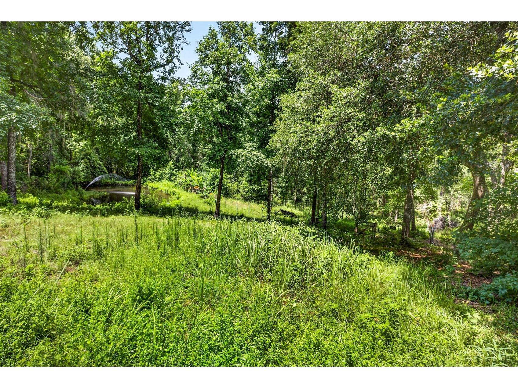 4243 Nancy Creek Boulevard Brooksville FL 34602 TB8521837 image90