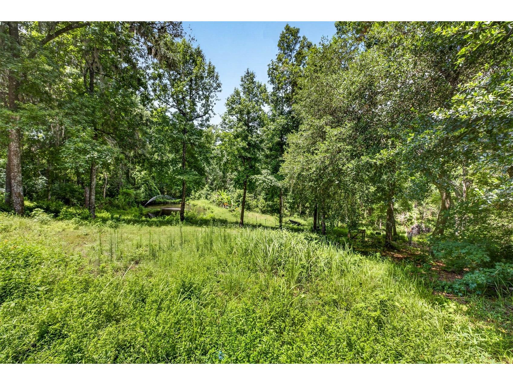 4243 Nancy Creek Boulevard Brooksville FL 34602 TB8521837 image92