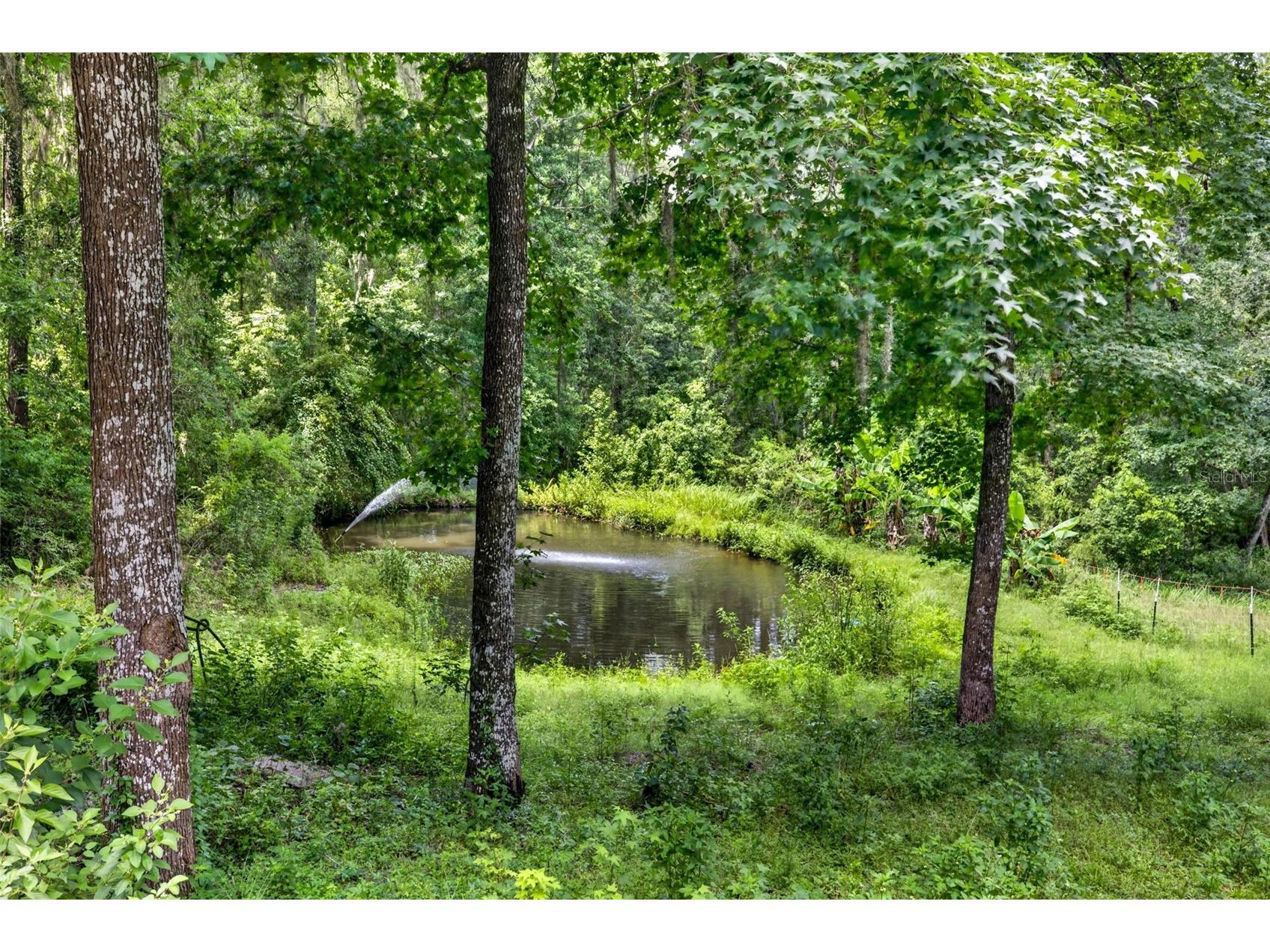 4243 Nancy Creek Boulevard Brooksville FL 34602 TB8521837 image94
