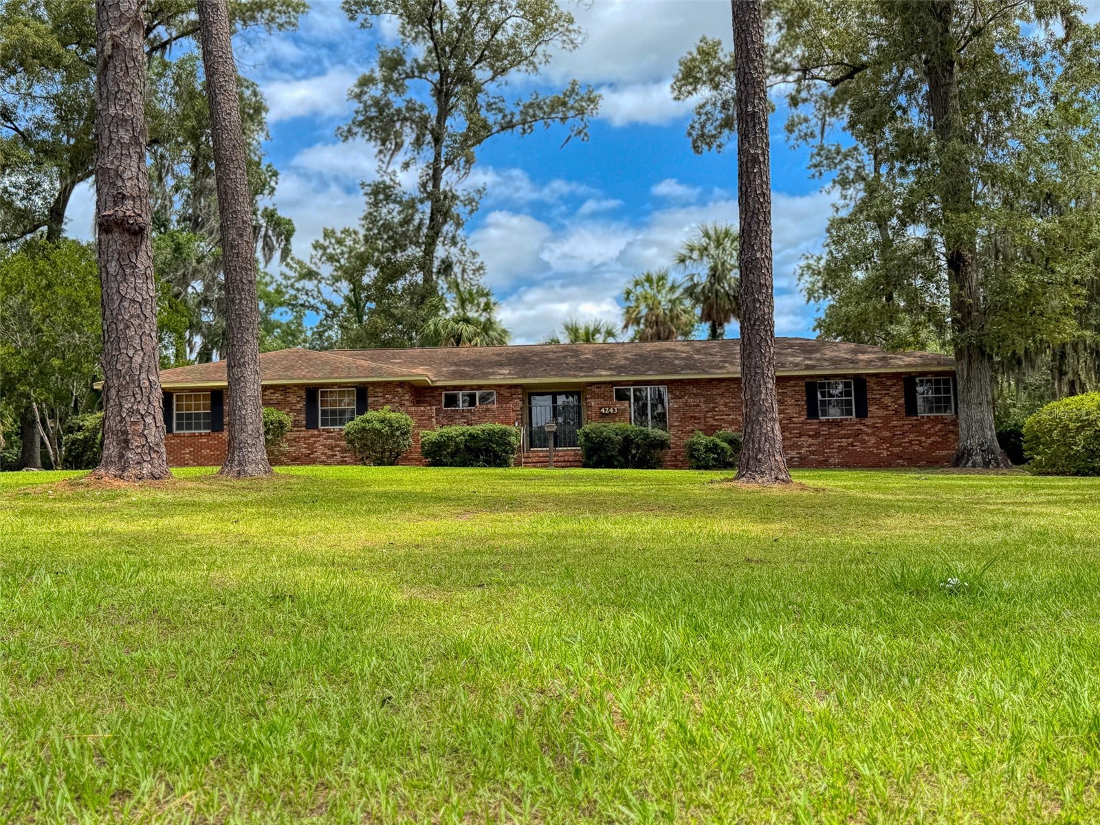 4243 SE 8th Street Ocala FL 34471 OM725993 image1