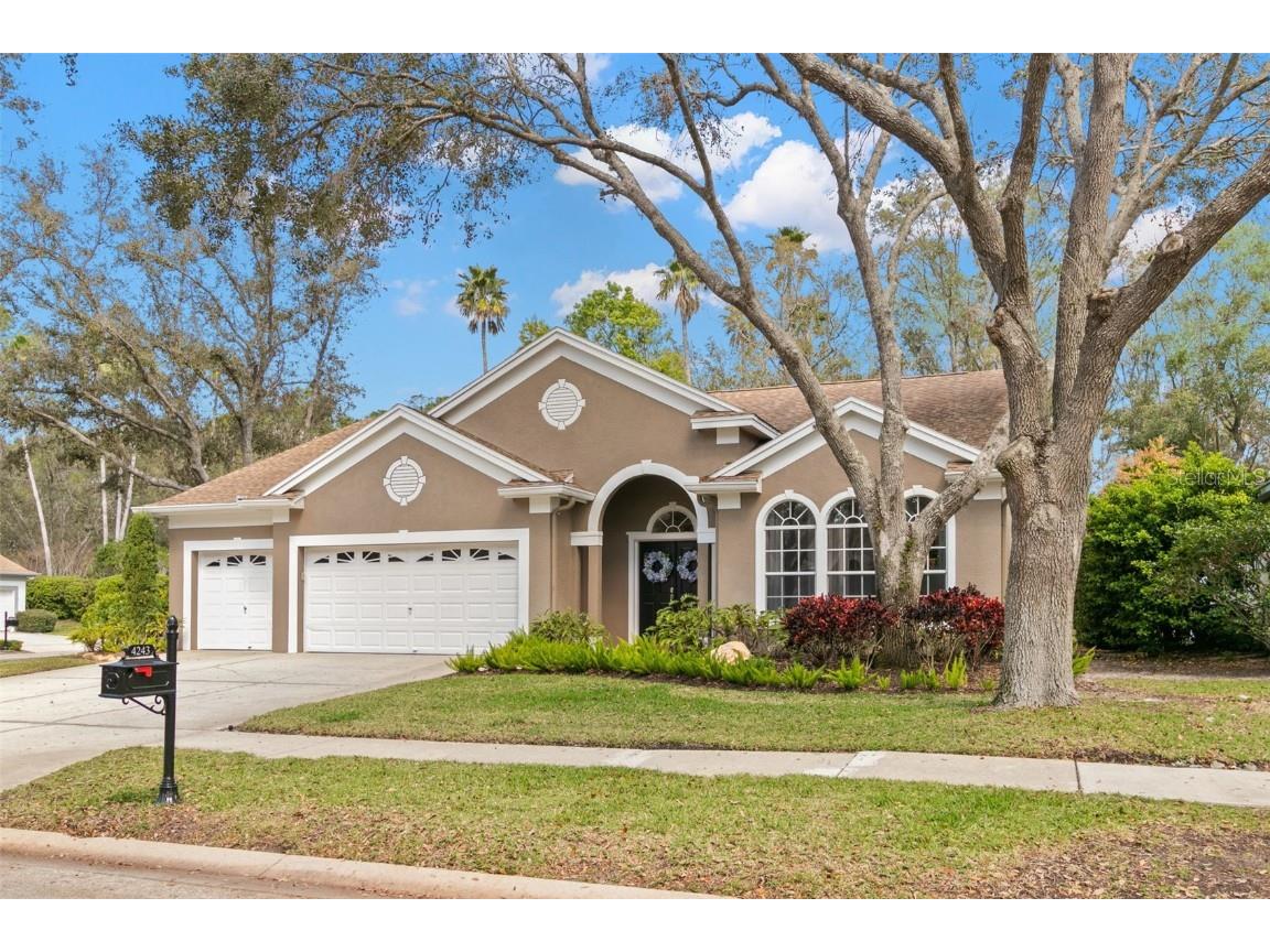 4243 Tremblay Way Palm Harbor FL 34685 TB8354687 image1