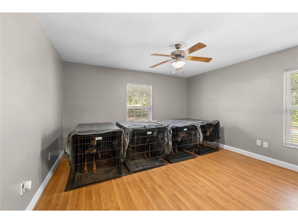 4244 Bessemer Road Brooksville FL 34602 W7881218 image43