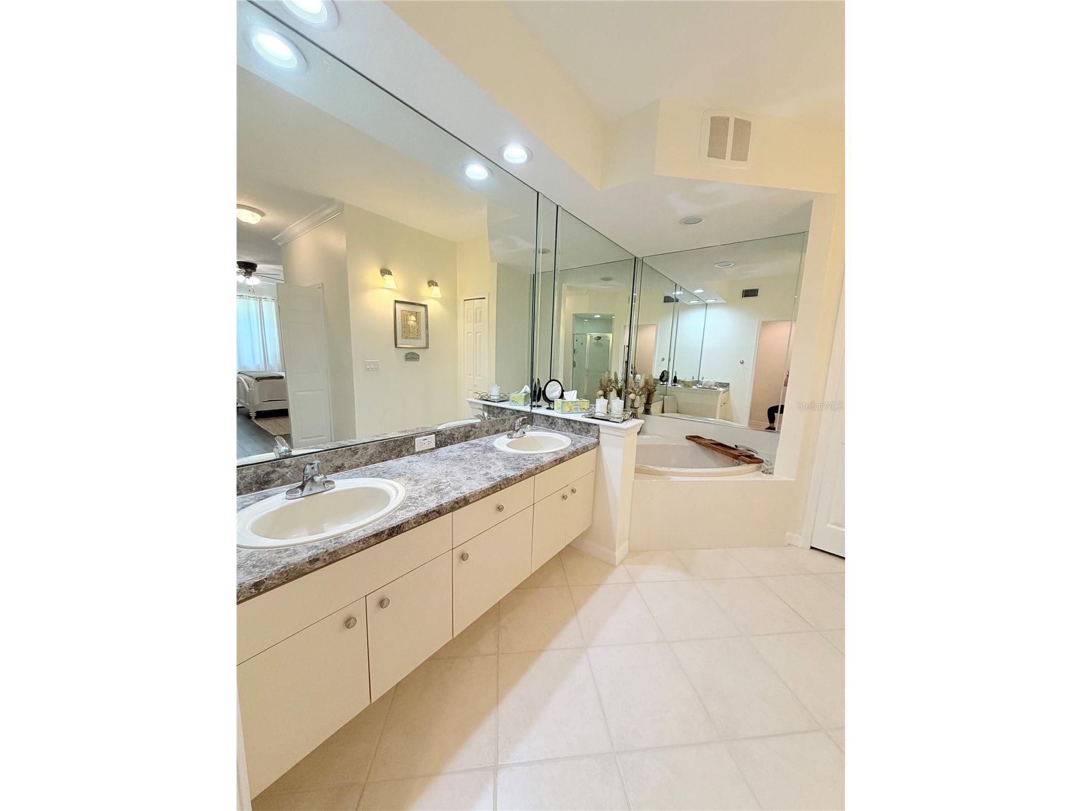 4244 Preserve Place Palm Harbor FL 34685 TB8529709 image28