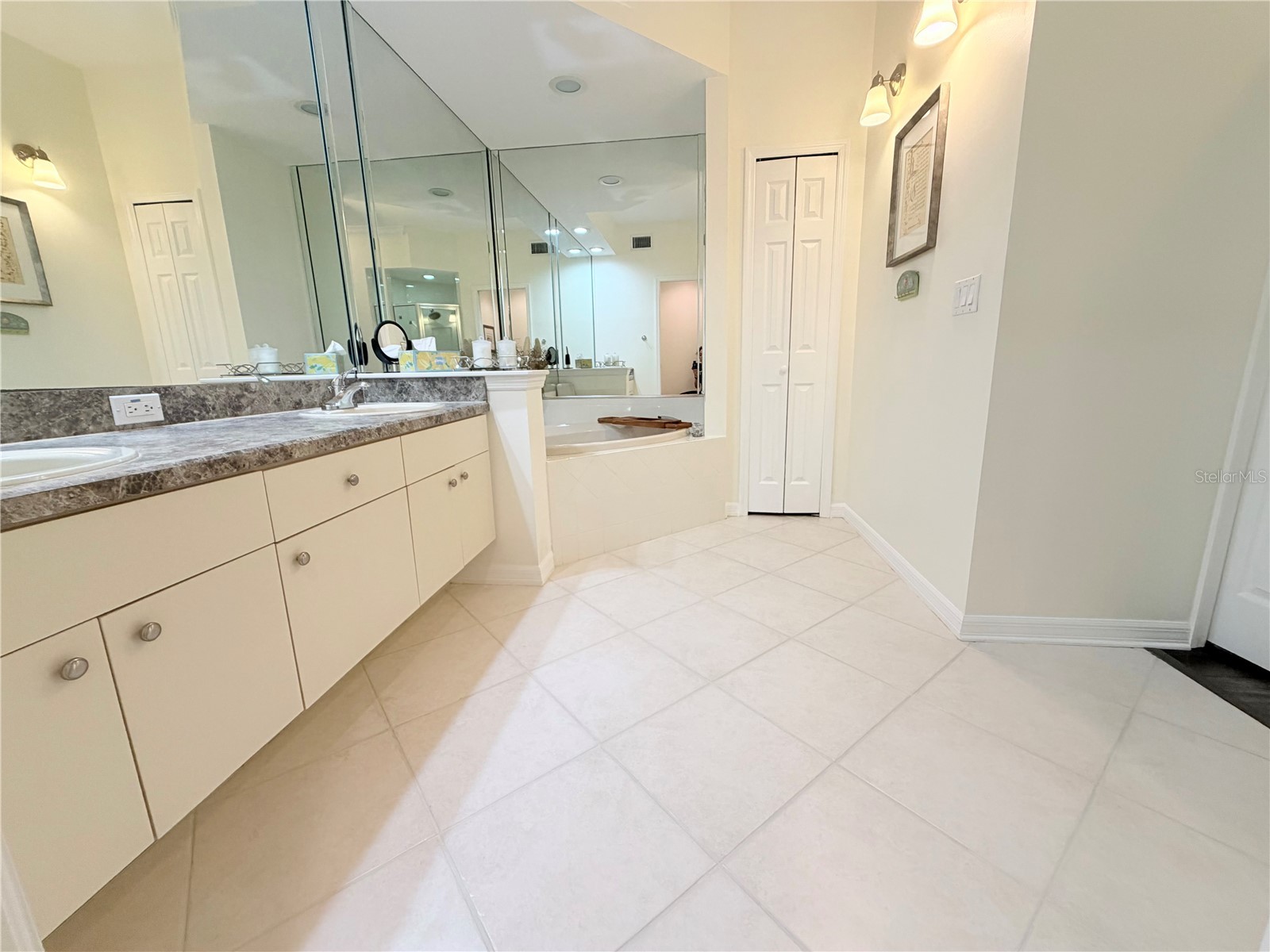 4244 Preserve Place Palm Harbor FL 34685 TB8529709 image29