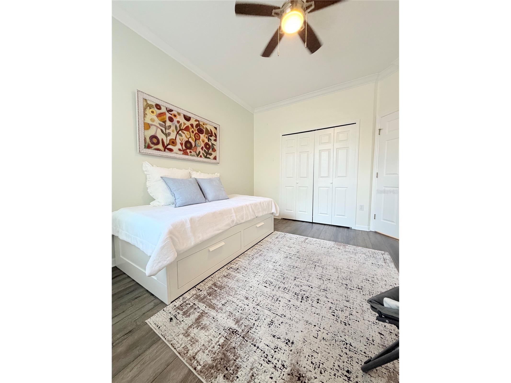 4244 Preserve Place Palm Harbor FL 34685 TB8529709 image34
