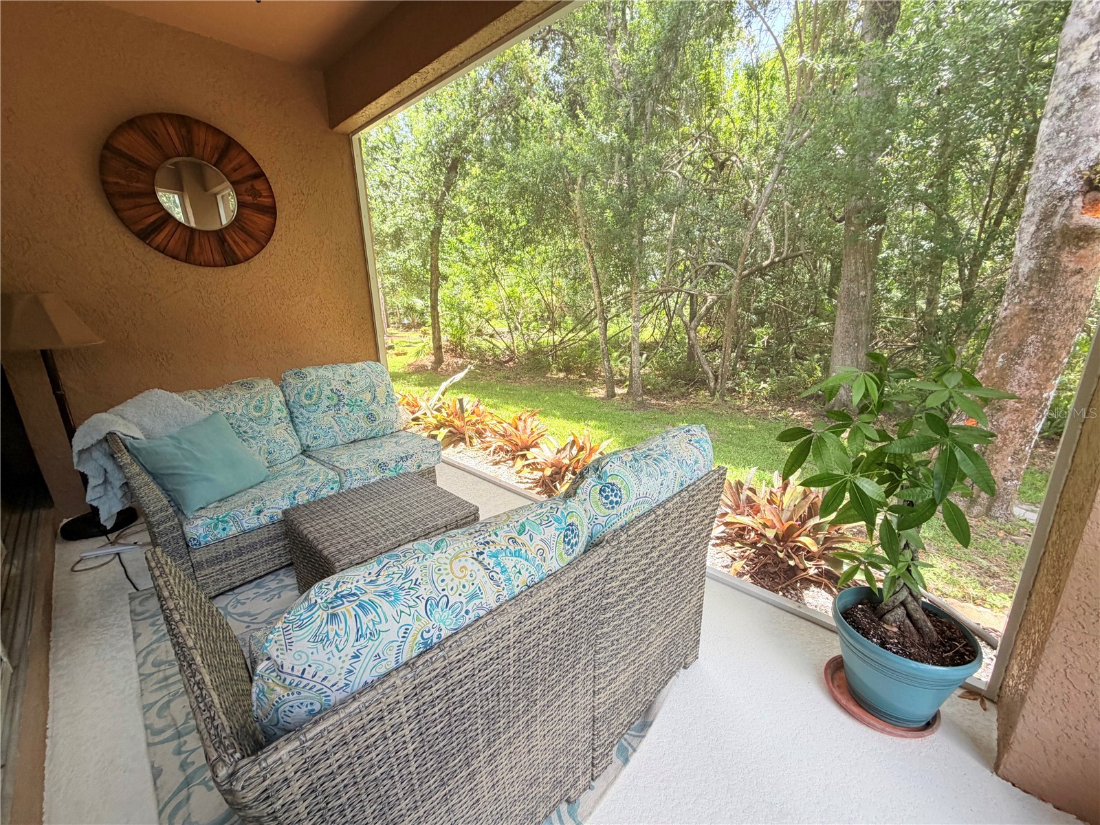 4244 Preserve Place Palm Harbor FL 34685 TB8529709 image48