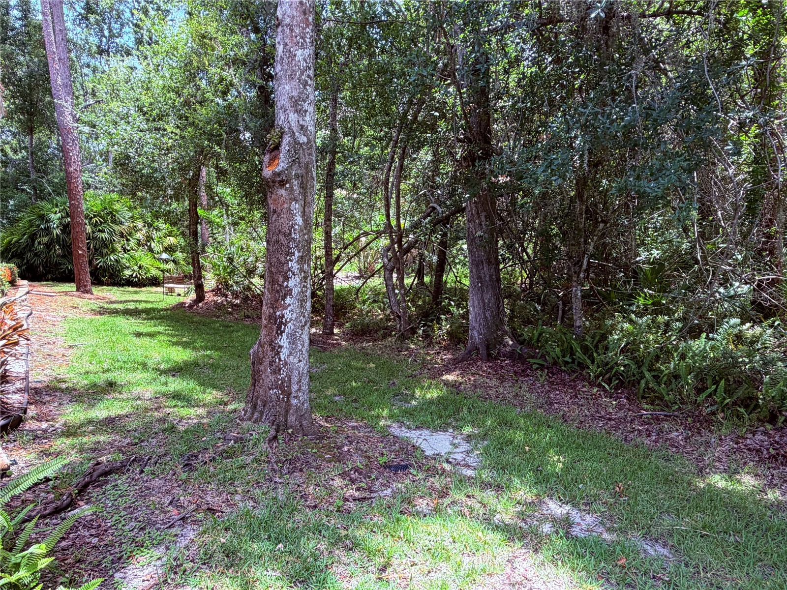 4244 Preserve Place Palm Harbor FL 34685 TB8529709 image49