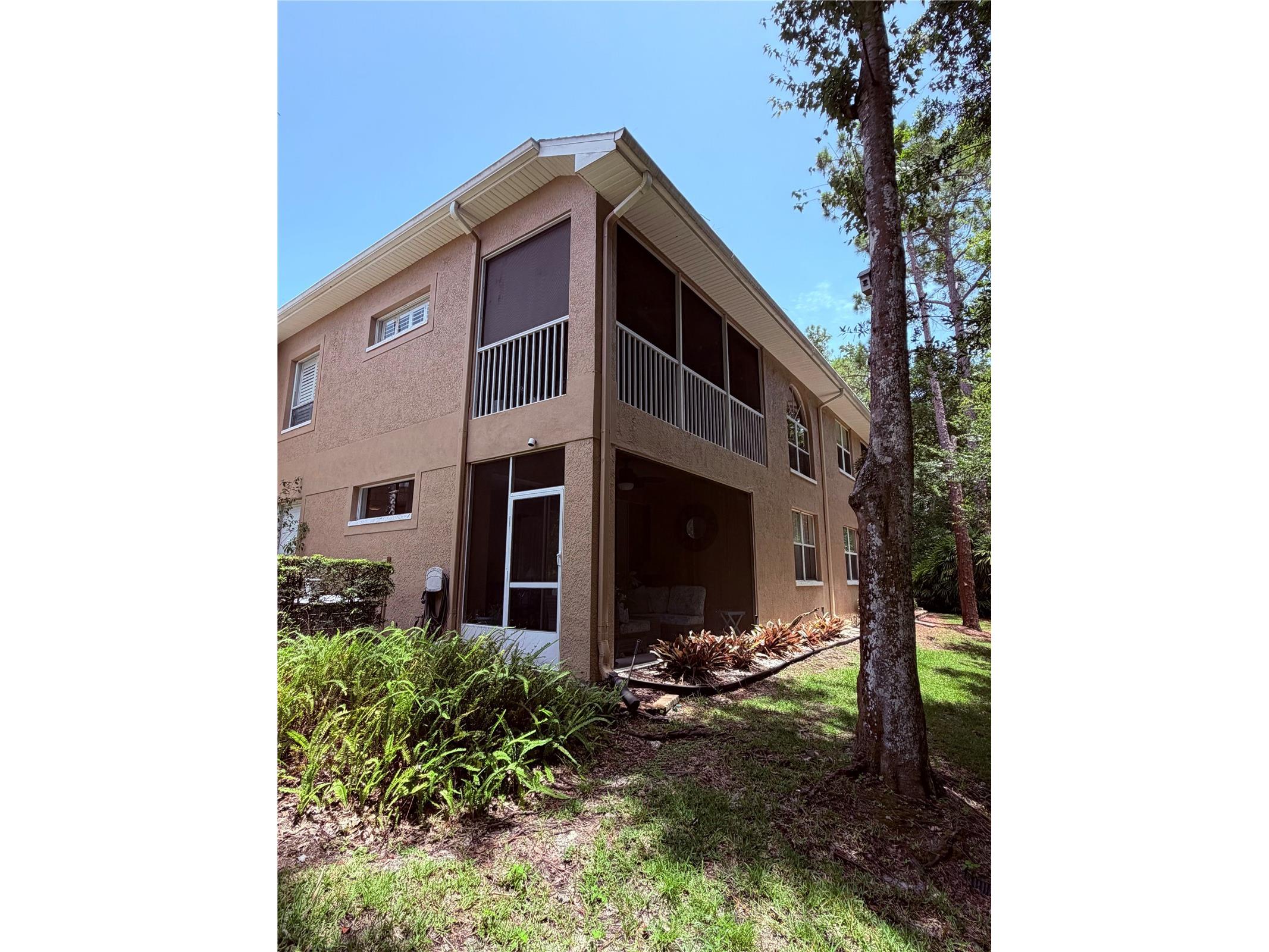 4244 Preserve Place Palm Harbor FL 34685 TB8529709 image50