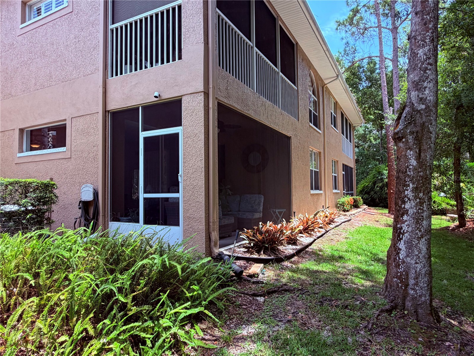 4244 Preserve Place Palm Harbor FL 34685 TB8529709 image51