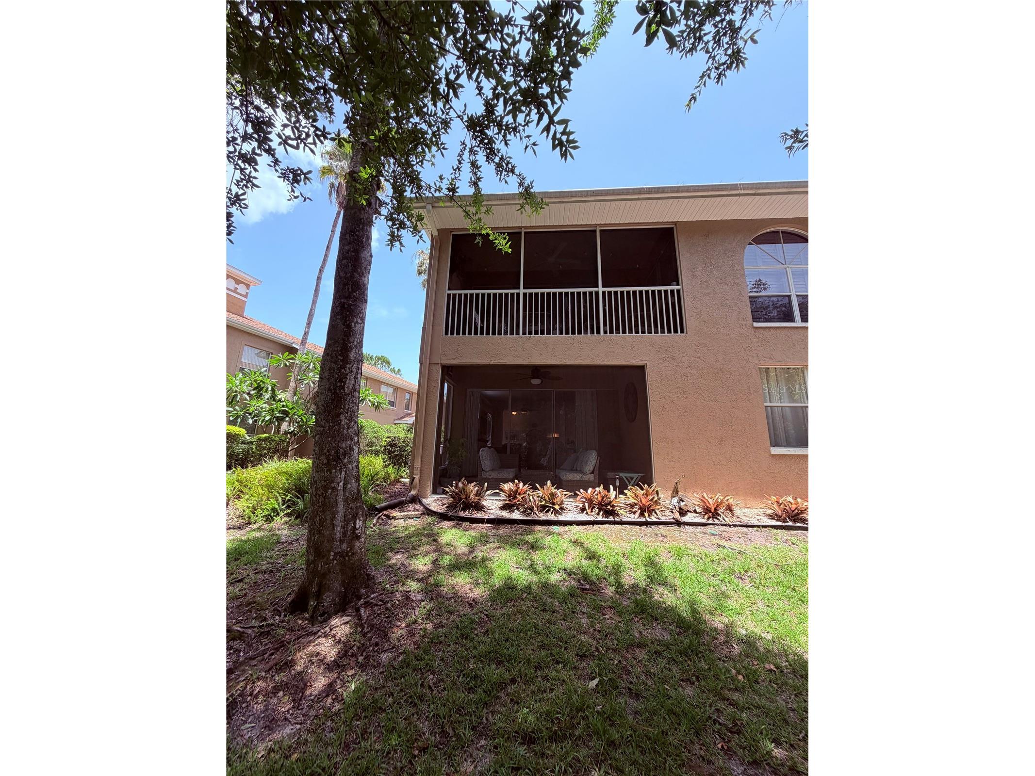 4244 Preserve Place Palm Harbor FL 34685 TB8529709 image52
