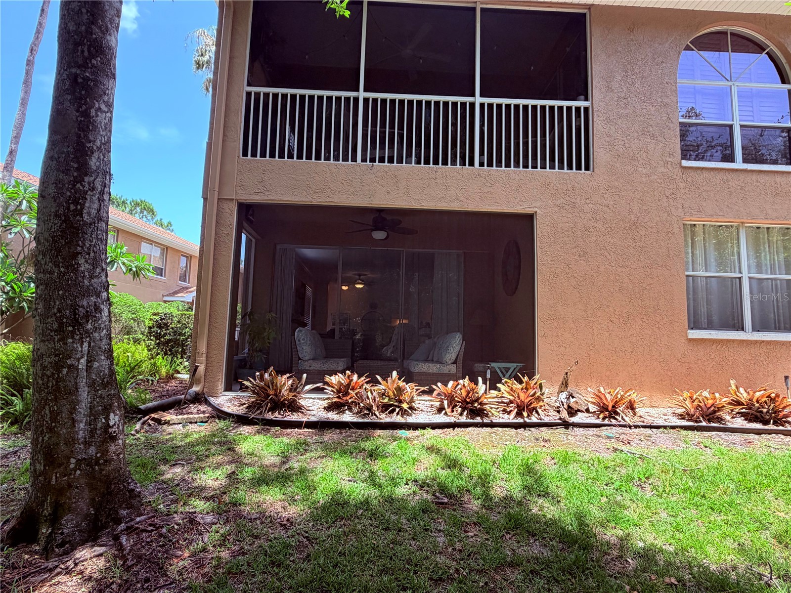 4244 Preserve Place Palm Harbor FL 34685 TB8529709 image53