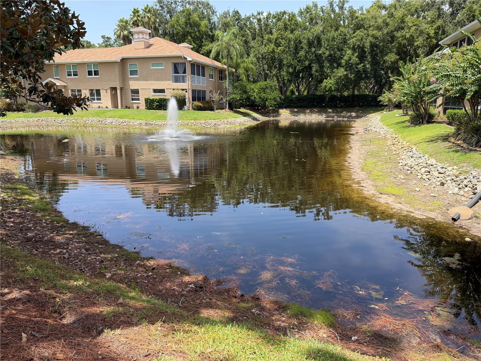 4244 Preserve Place Palm Harbor FL 34685 TB8529709 image56