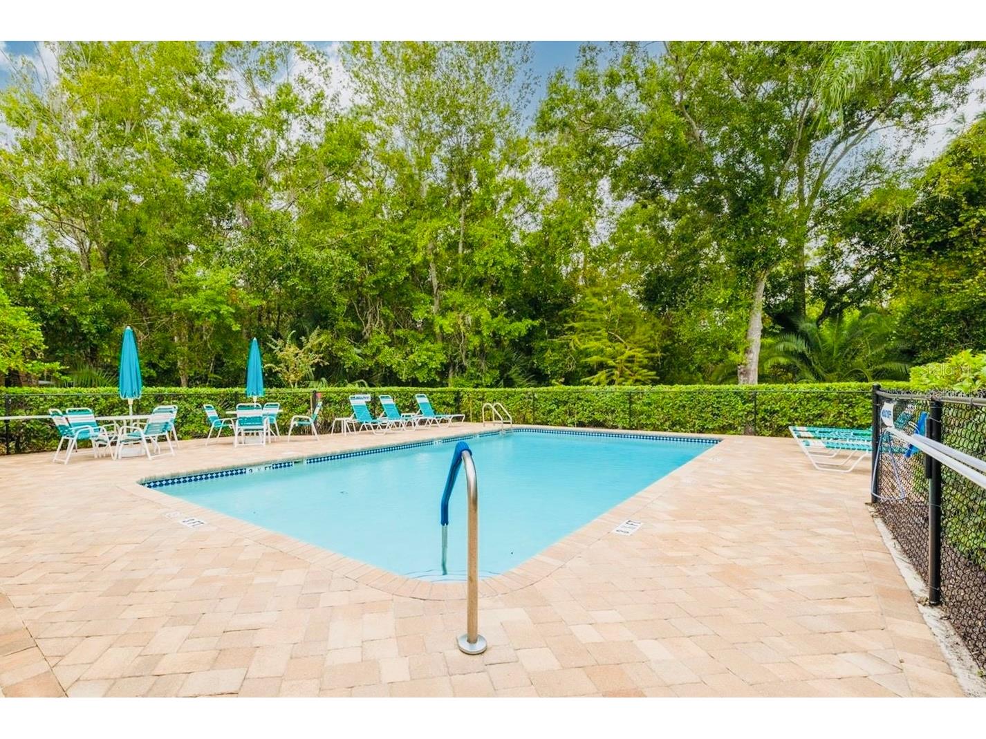 4244 Preserve Place Palm Harbor FL 34685 TB8529709 image57