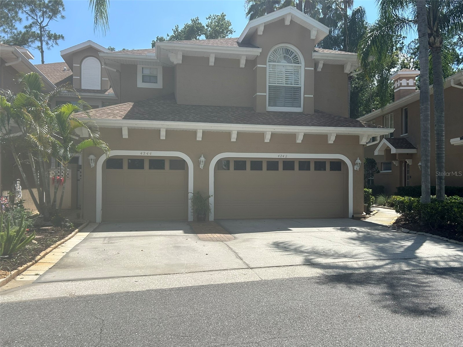 4244 Preserve Place Palm Harbor FL 34685 TB8509591 image1