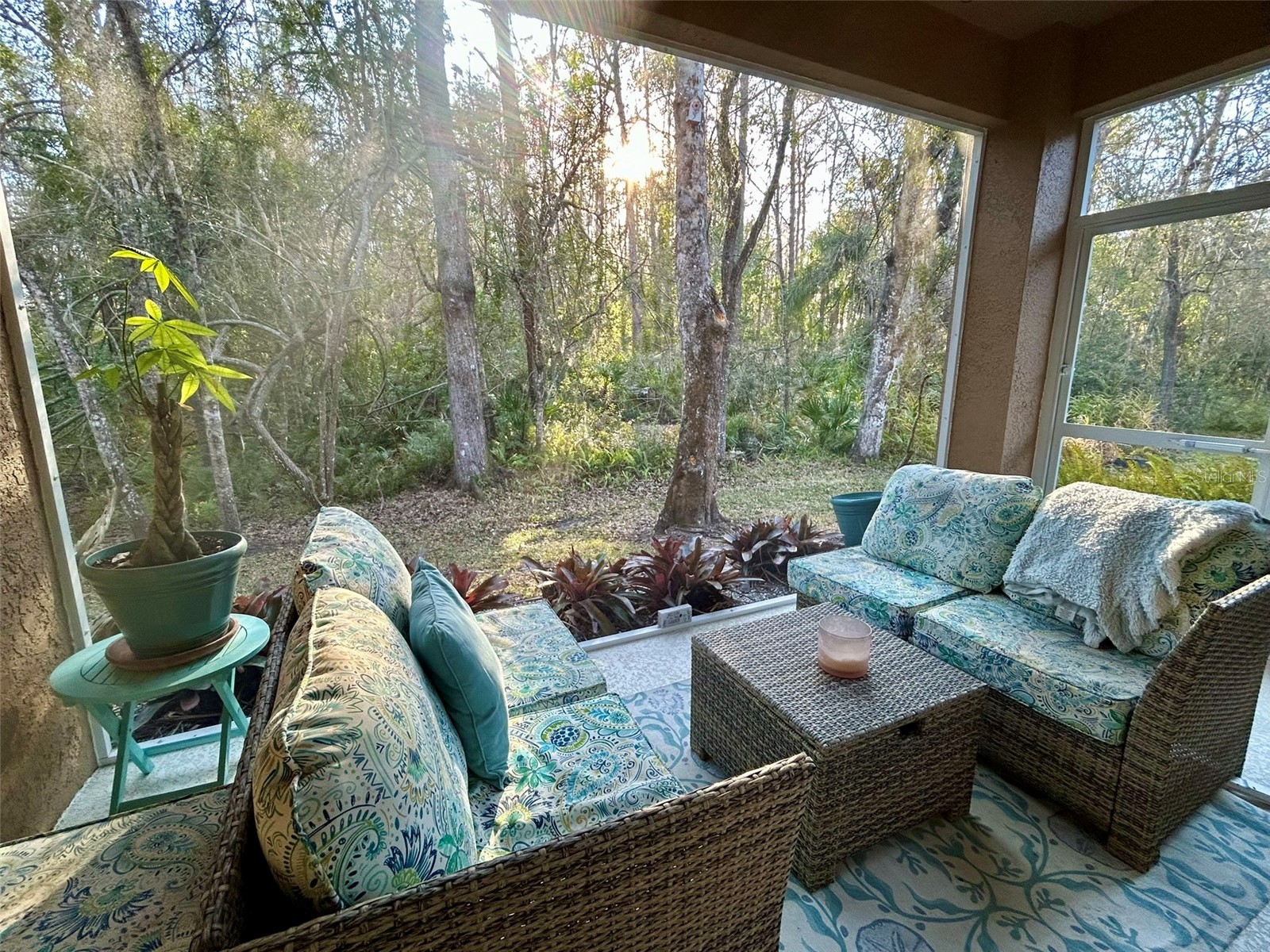 4244 Preserve Place Palm Harbor FL 34685 TB8509591 image11