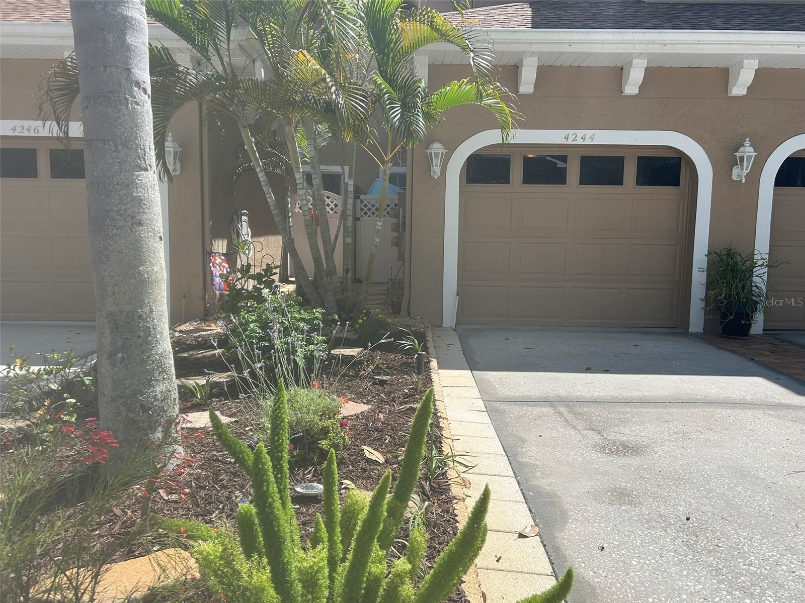 4244 Preserve Place Palm Harbor FL 34685 TB8509591 image2